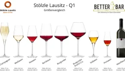 Champagnerglas | Q1 - Stölzle Lausitz | 300 ml (6 Stk)
