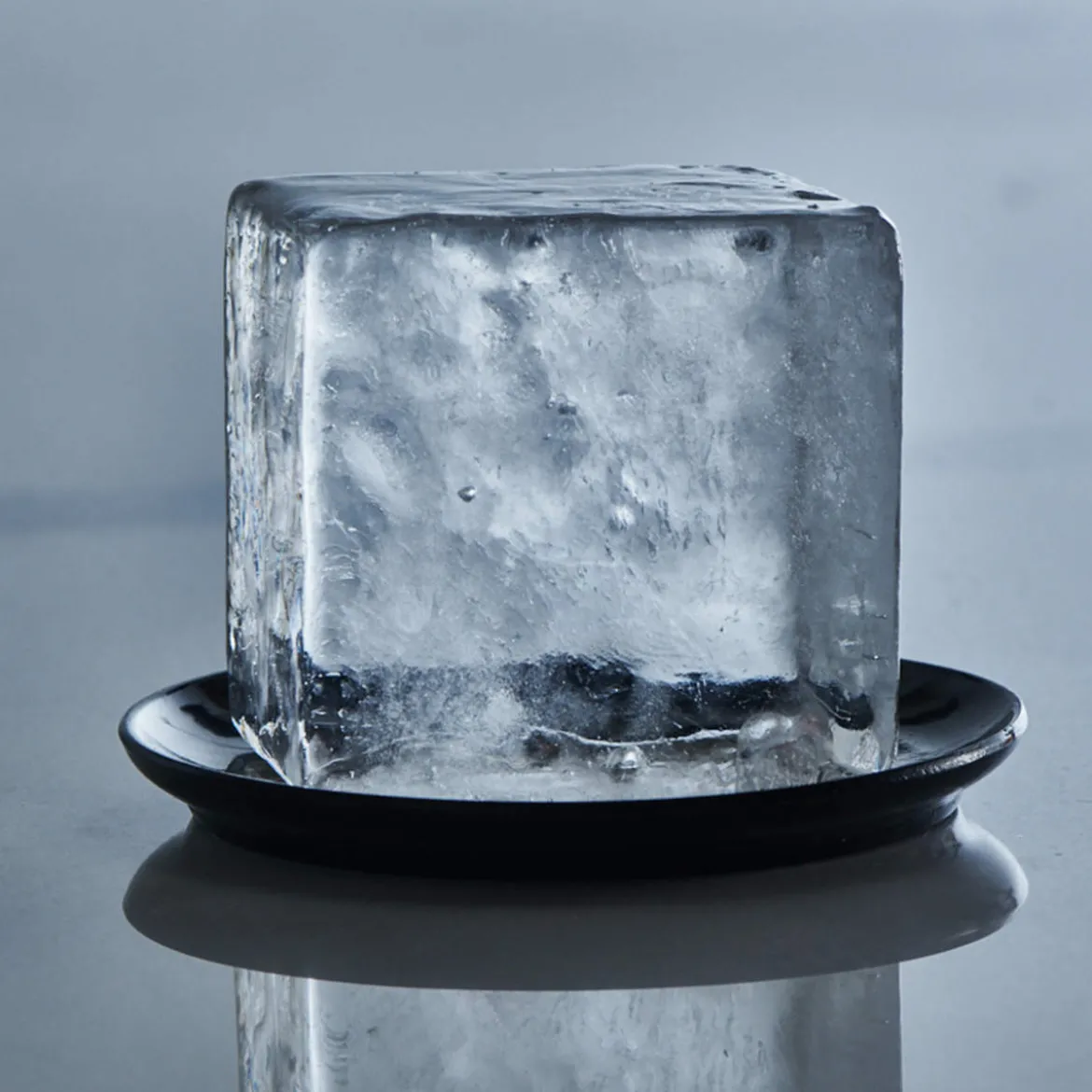 Eiswürfelform – Lurch | 8 x 5 cm