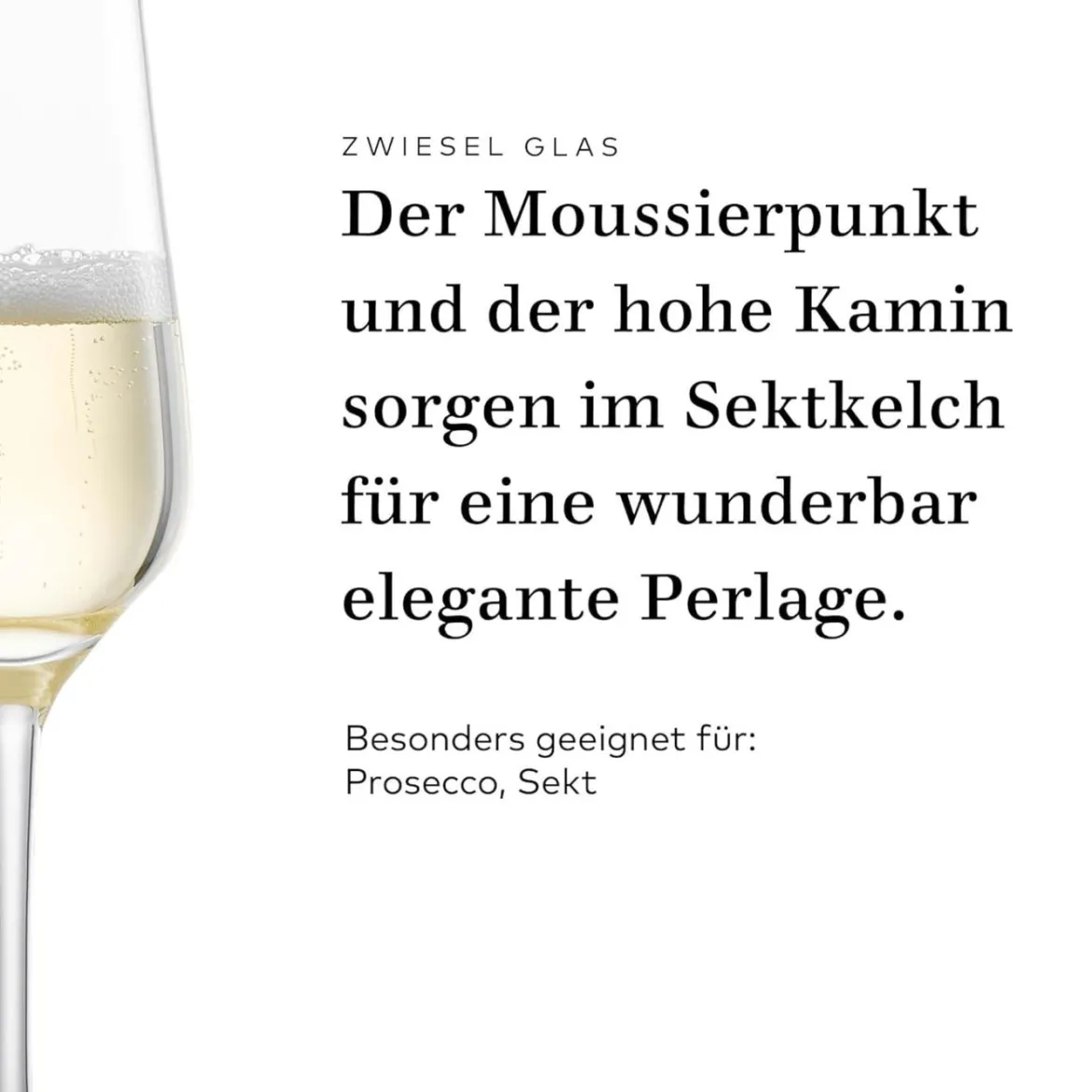 Sektglas "Asti" | Fine - Schott Zwiesel | 250 ml (6 Stk)