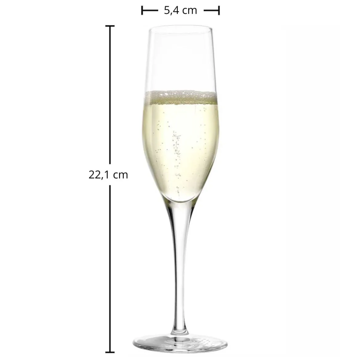 Sektglas | Exquisit - Stölzle Lausitz | 175 ml (6 Stk)