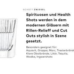 Shotglas | Fave - Schott Zwiesel | 60 ml (6 Stk)