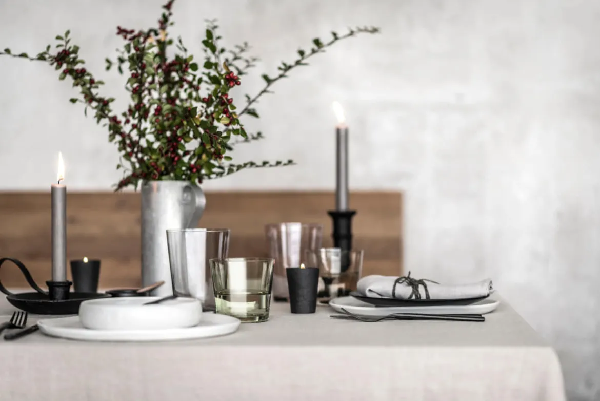 Wassergläser | Sonido - Schott Zwiesel | Taupe - 550 ml (6 Stk)