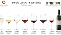 Weißweinglas klein | Experience - Stölzle Lausitz | 285 ml (6 Stk)