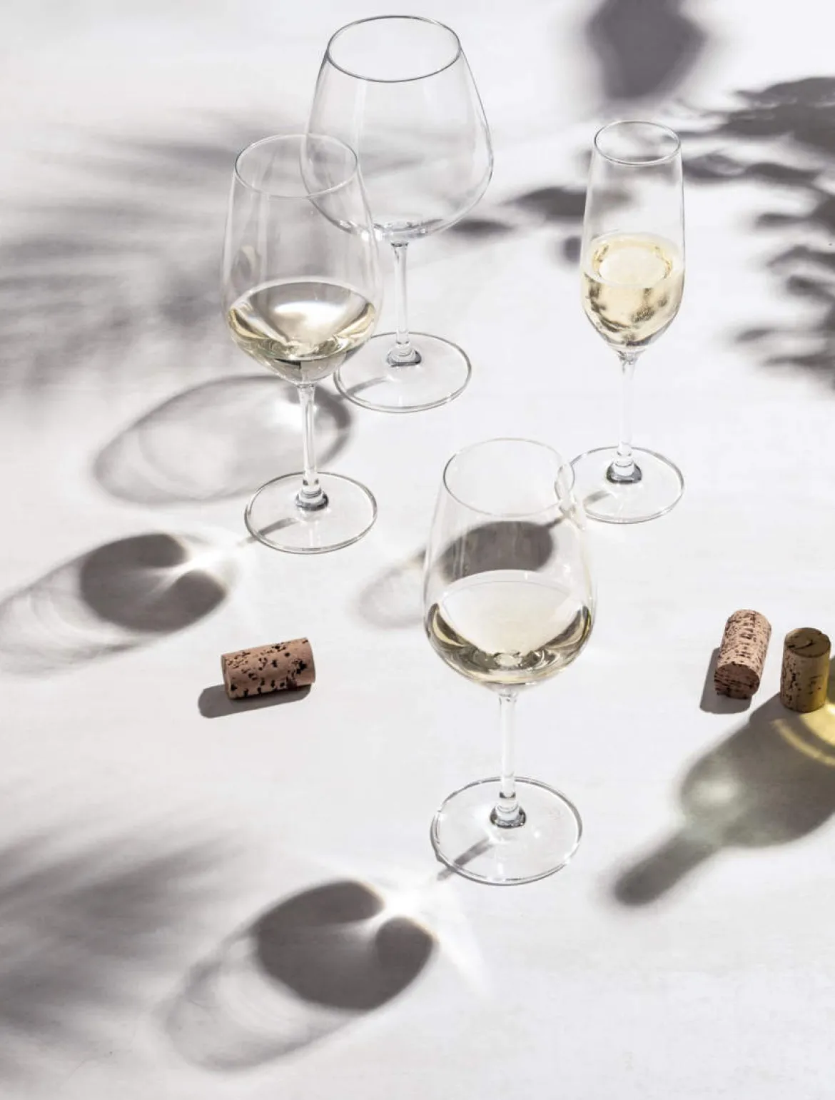 Weißweinglas | Vina - Schott Zwiesel | 290 ml (6 Stk)